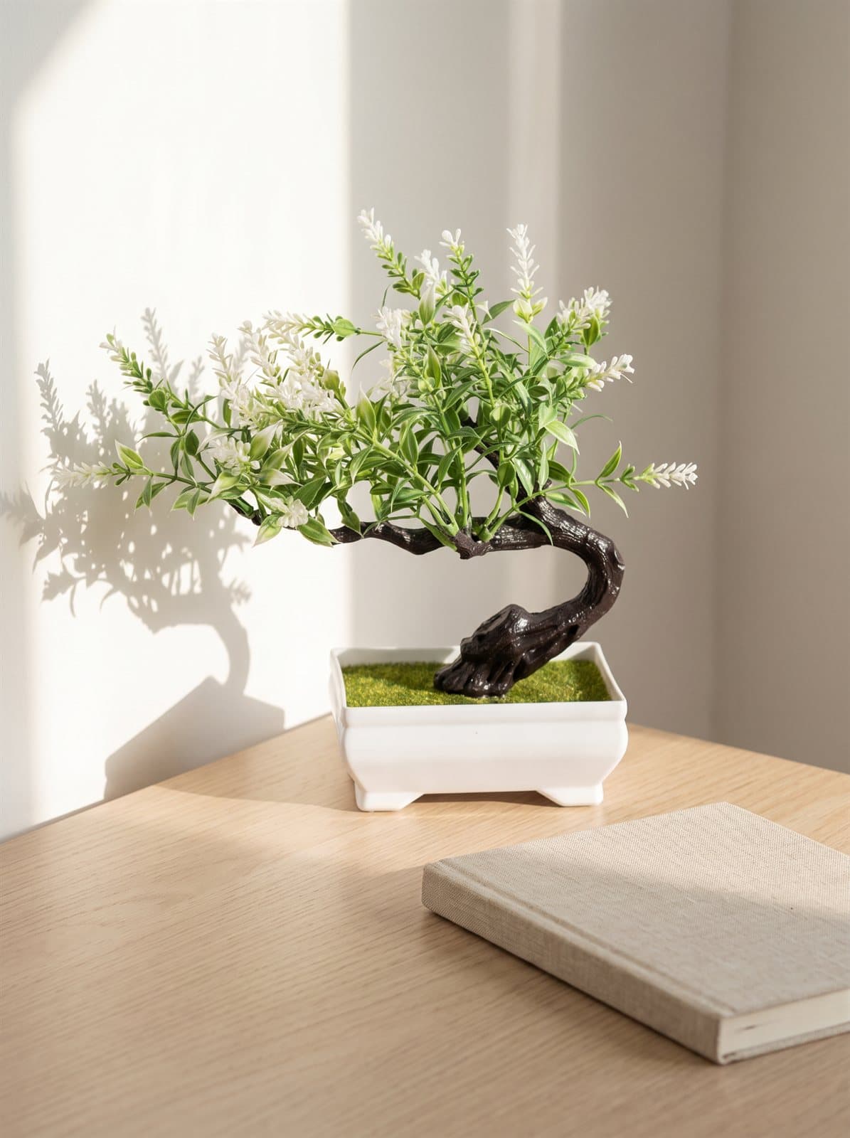 Small bonsai with white flowers in a white ceramic pot on a desk, its shadow falling on the wall behind. AI-generated · Nano Banana Pro