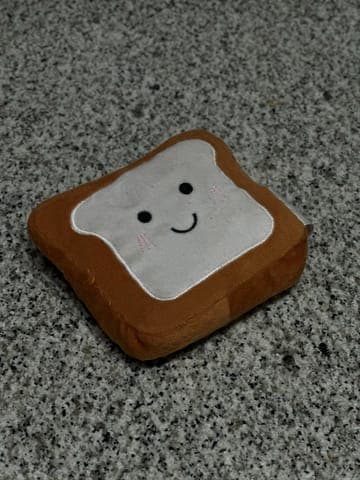 Phone photo: the cushion on a granite worktop