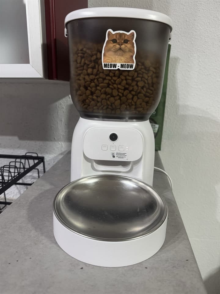 Phone photo of a white automatic pet feeder on a kitchen counter